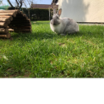 BunBun Squad :)
