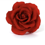 #Rosie’s Roses