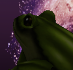 QuantumFrog's Fan Club