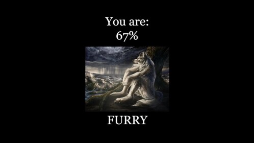 🐺Furry Test