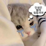 부계 저장소