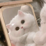 Loveいちごレストラン
