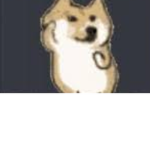 Doge's United!!!!!!