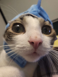UniGamer_Oo