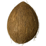 Coconut Business