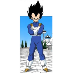 Budokai Challengers
