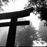 wounds' ୨୧
