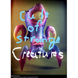 The cult of strange creatures meeting place