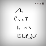 cats 猫
