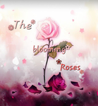 The blooming rose