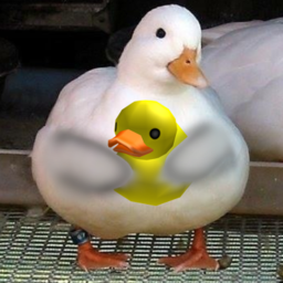 Give me the Rubber Ducky as a Christmas Present 🎁