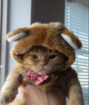 Cute stuff<3