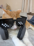 猫人のカフェ