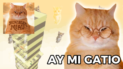 Find Ay Mi Gatito Tower 🐱