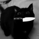 Macross official