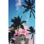QTss_