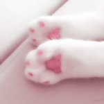 !meows