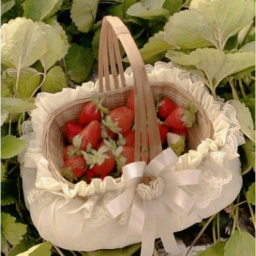 ʚ🍓ɞ
