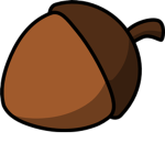 acorn facility and basement group