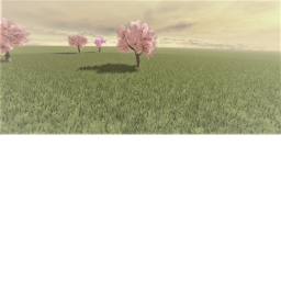 Your calm place