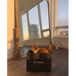 modelstyleapperal