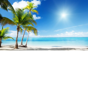 แฮงเอาท์ชายหาด