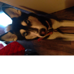 Me and my dog luna
