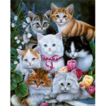 Kittie Entertainment
