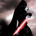 The Ninjas Of Anarchy