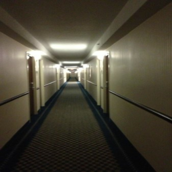 The Hallway