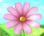 Bloomed Studios