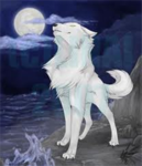 white wolves of the north