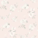 -aura's closet-