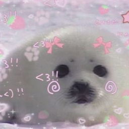 ʚ ♡ ɞ