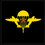 [USSR] -The Soviet Airborne Division-