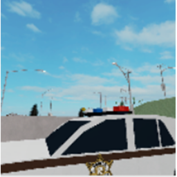 Traffic Stop.