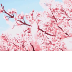 Peachy Blossoms
