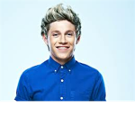 We Love Niall Horan From One Direction