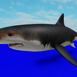 Shark criminal gang.. IN A NUTSHELL