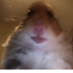 What's up man