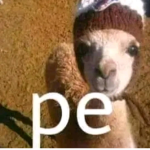 Tu Me Ayudas Yo Te Ayudo.