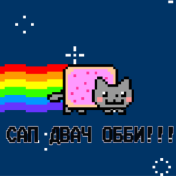 САП ДВАЧ ОББИ!!!🐱(НОВОЕ)