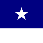 ᅠ1st Texas Infantry Regiment
