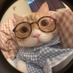 Kiitty Cult
