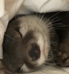...Cozy Beans...