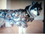 Dog Force