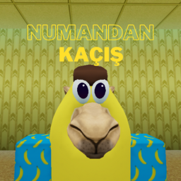 [Yeni!] Numandan Kaçış