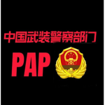 联合国维和部队
