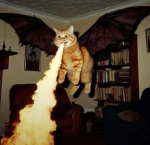 Meows Cult Of Creepazoids