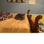 Oscar&Emma